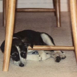 Meet your Posher, Adaora